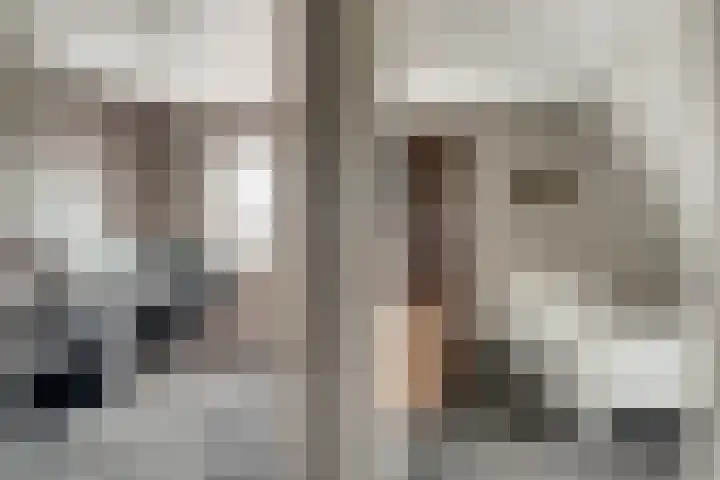 Rietdekker 69 Wijchen thumbnail 33