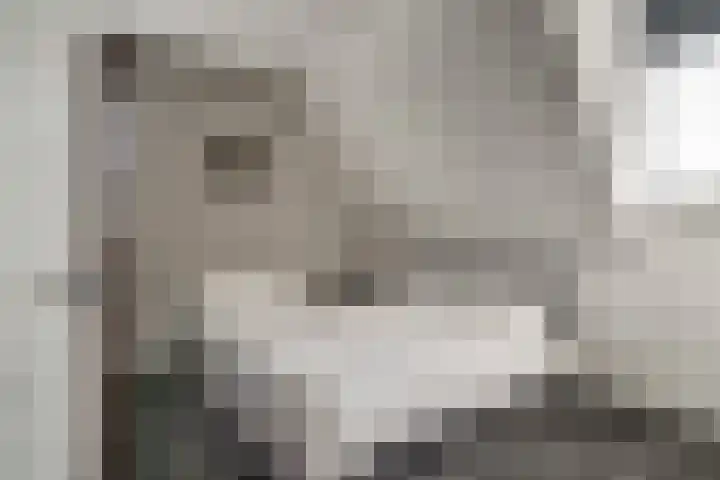 Rietdekker 69 Wijchen thumbnail 43
