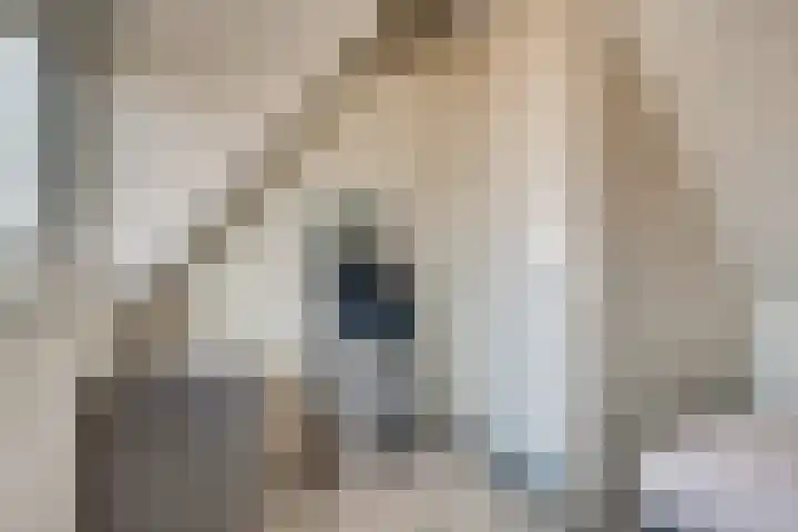 Rietdekker 69 Wijchen thumbnail 46