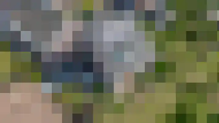 Rietdekker 69 Wijchen thumbnail 48