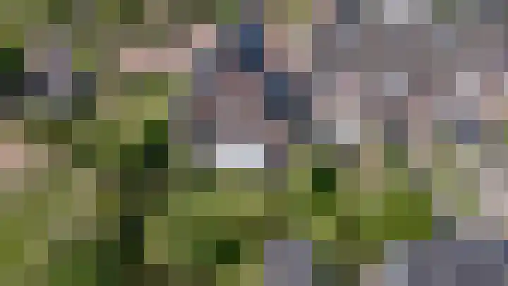 Rietdekker 69 Wijchen thumbnail 49