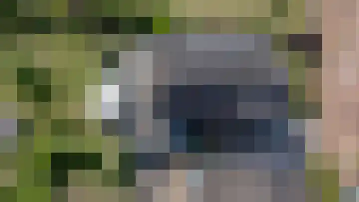 Rietdekker 69 Wijchen thumbnail 50