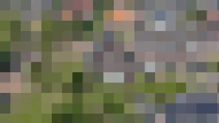 Rietdekker 69 Wijchen thumbnail 51