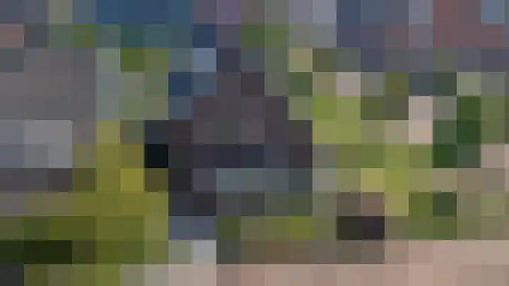 Rietdekker 69 Wijchen thumbnail 52