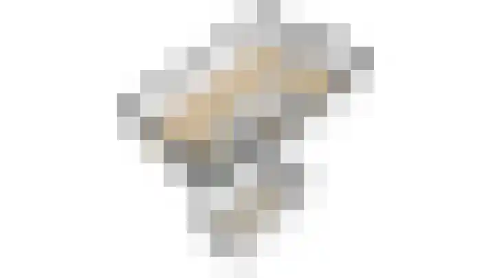 Rietdekker 69 Wijchen thumbnail 56