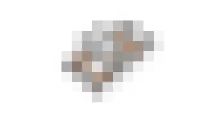 Rietdekker 69 Wijchen thumbnail 59