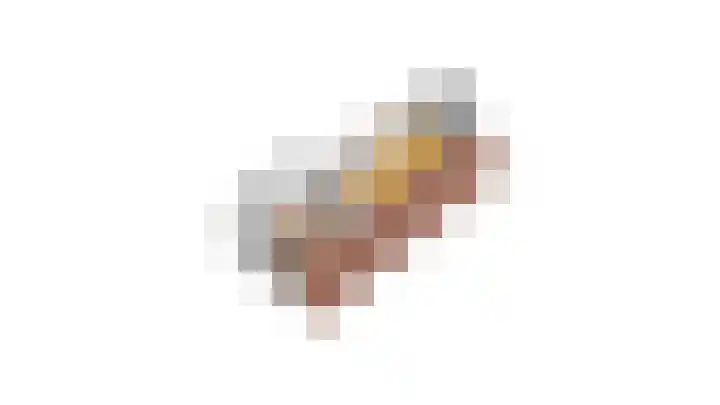Rietdekker 69 Wijchen thumbnail 63