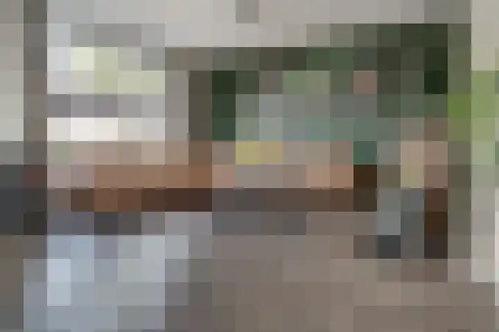 Rietdekker 69 Wijchen thumbnail 9
