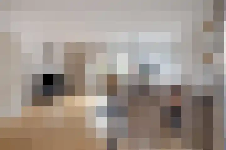 Rietdekkerstraat 54 Purmerend thumbnail 12