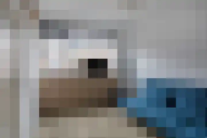 Rietdekkerstraat 54 Purmerend thumbnail 21