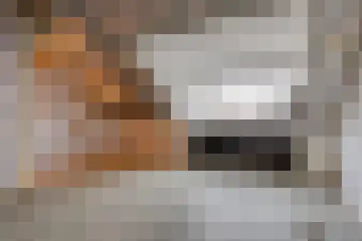 Rietdekkerstraat 54 Purmerend thumbnail 24