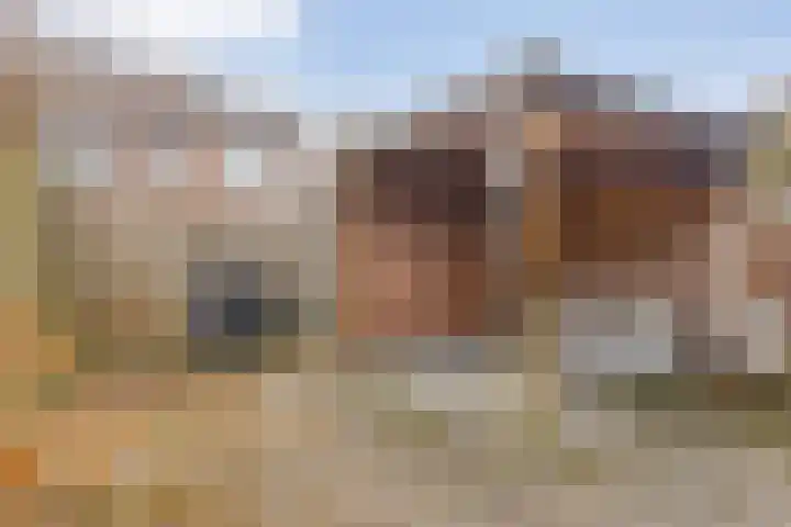 Rietdekkerstraat 54 Purmerend thumbnail 27