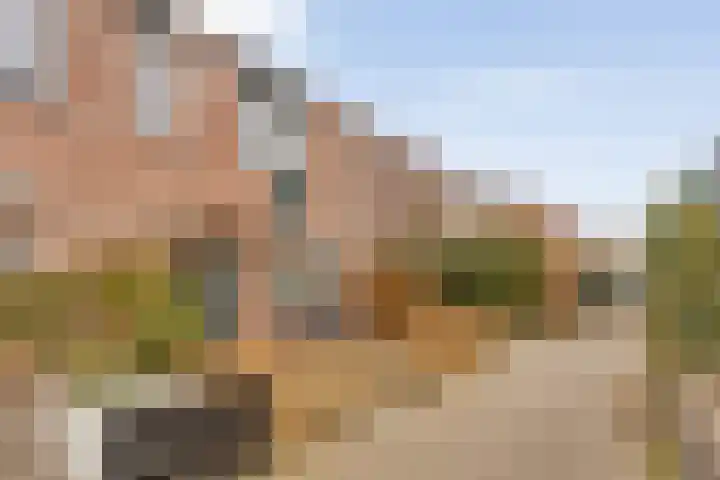 Rietdekkerstraat 54 Purmerend thumbnail 6