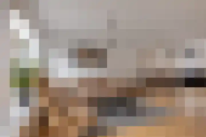 Rietdekkerstraat 54 Purmerend thumbnail 9
