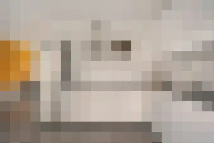 Riete 27 Assen thumbnail 16