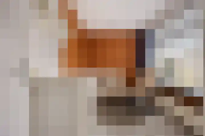 Riete 27 Assen thumbnail 29