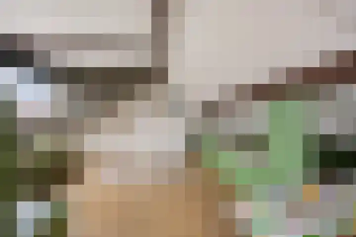 Riete 27 Assen thumbnail 33
