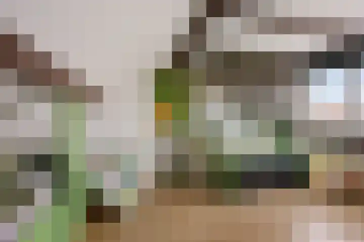 Riete 27 Assen thumbnail 36