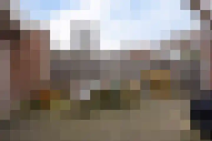 Riete 27 Assen thumbnail 38