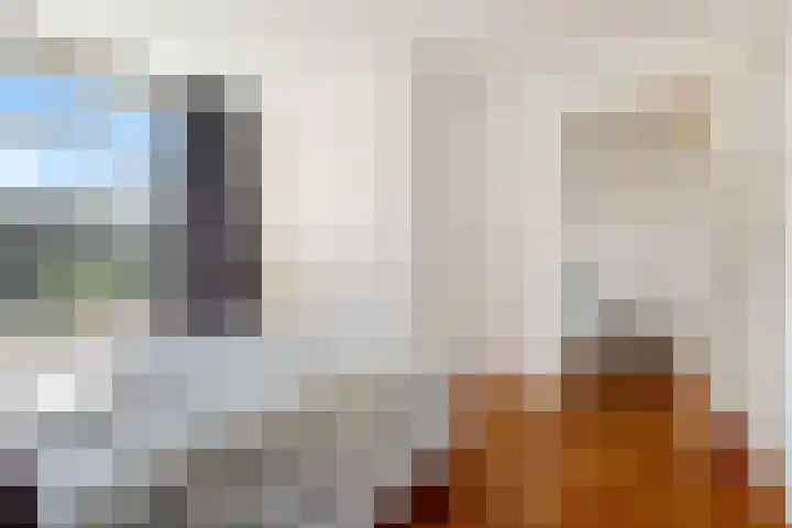Riete 8 Assen thumbnail 28