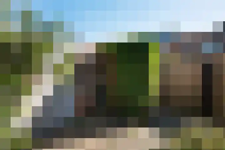 Riete 8 Assen thumbnail 30