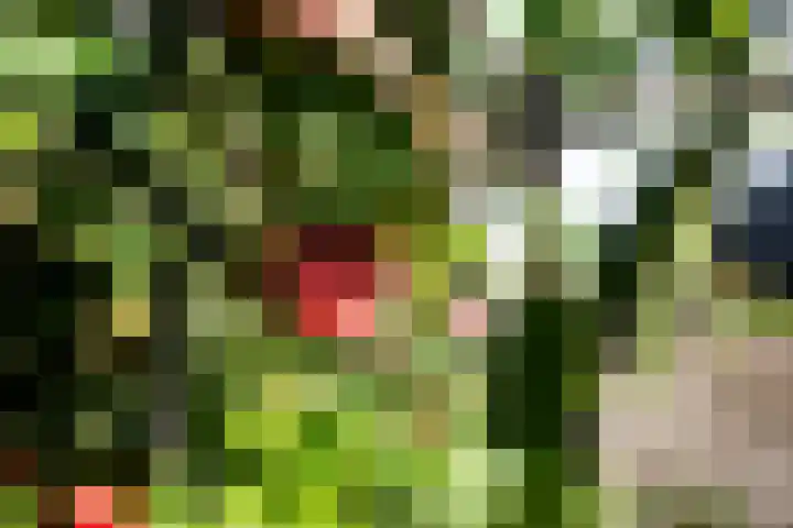 Riete 8 Assen thumbnail 32