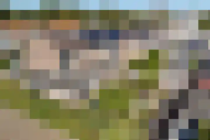 Riete 8 Assen thumbnail 36