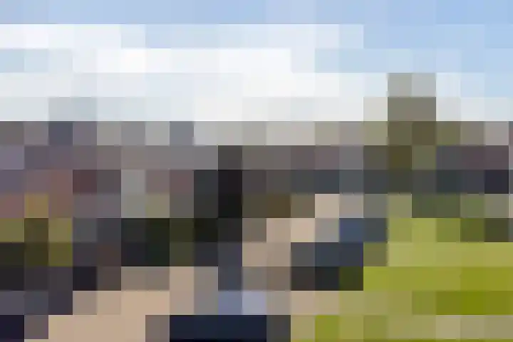 Riete 8 Assen thumbnail 40
