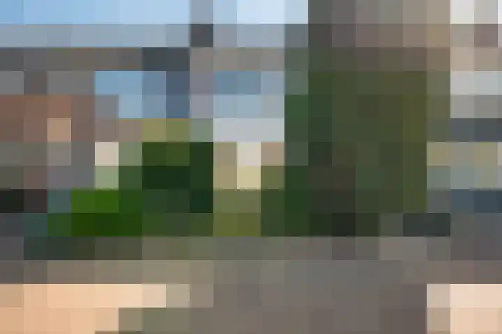 Riete 8 Assen thumbnail 5