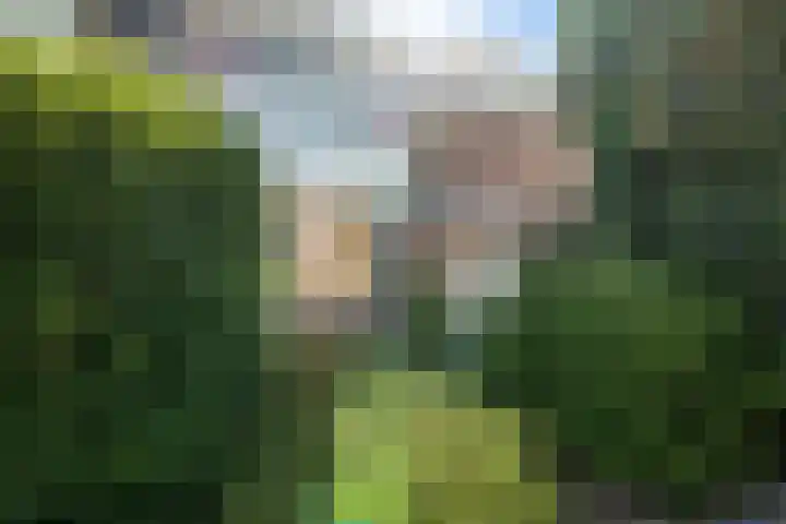 Riete 8 Assen thumbnail 6