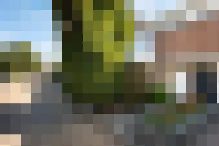 Riete 8 Assen thumbnail 7
