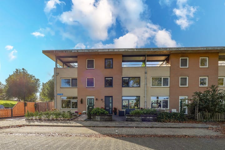 Rietgans 17 in Mijdrecht foto