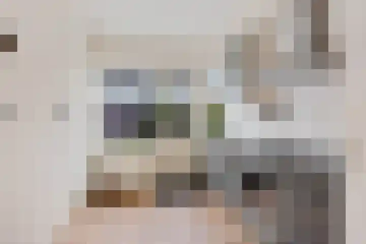 Rietgans 4 Dokkum thumbnail 11