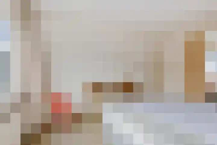Rietgans 4 Dokkum thumbnail 15