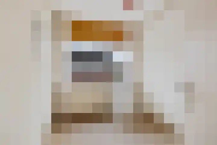 Rietgans 4 Dokkum thumbnail 19