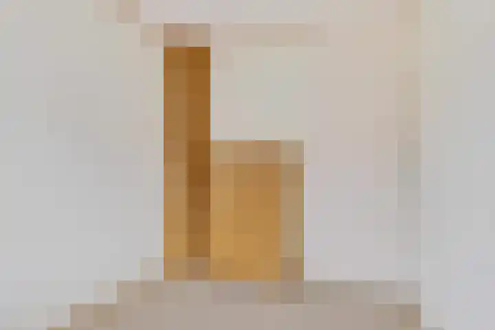 Rietgans 4 Dokkum thumbnail 20