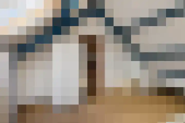 Rietgans 4 Dokkum thumbnail 22