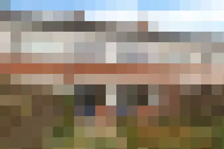 Rietgans 4 Dokkum thumbnail 24