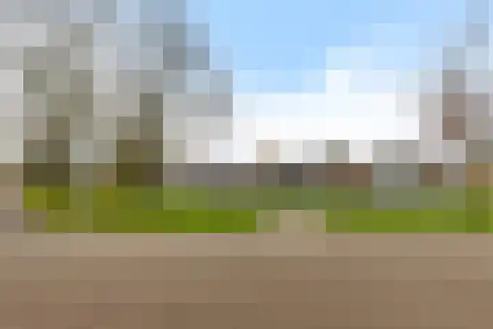 Rietgans 4 Dokkum thumbnail 28
