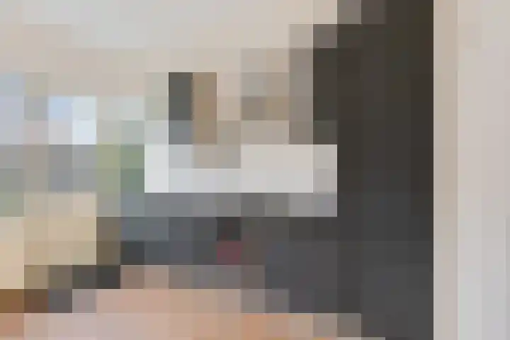Rietgans 4 Dokkum thumbnail 4