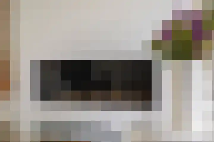 Rietgans 5 in Broek op Langedijk