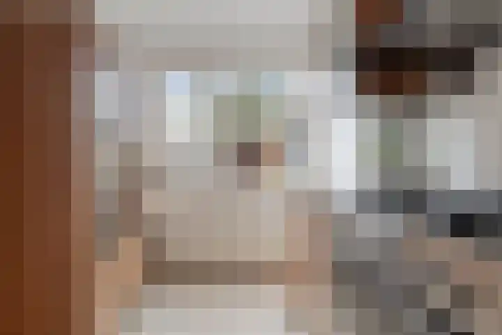 Rietganssingel 4 Velp thumbnail 14