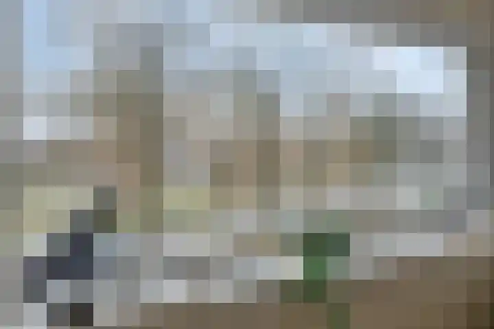 Rietganssingel 4 Velp thumbnail 28