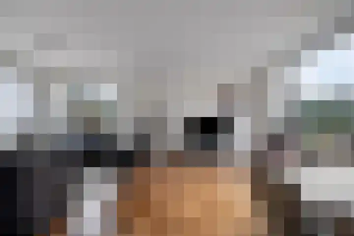 Rietganssingel 4 Velp foto 3