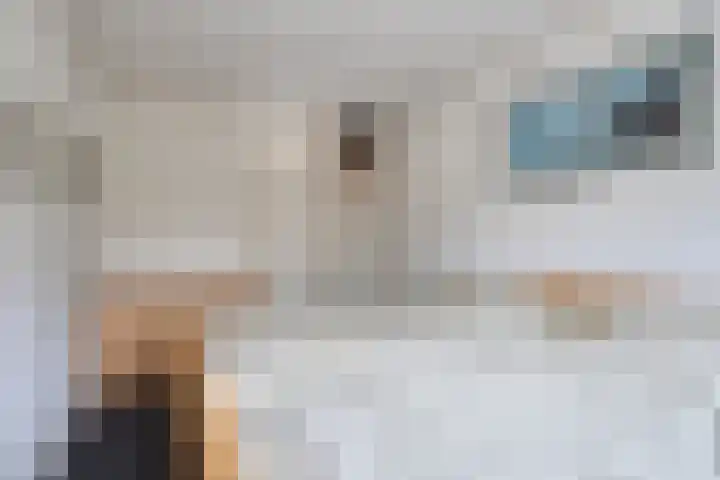 Rietganssingel 4 Velp thumbnail 32
