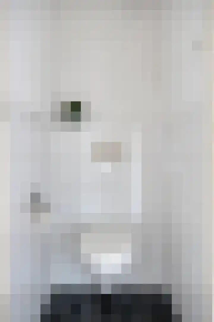 Rietganssingel 4 Velp thumbnail 42