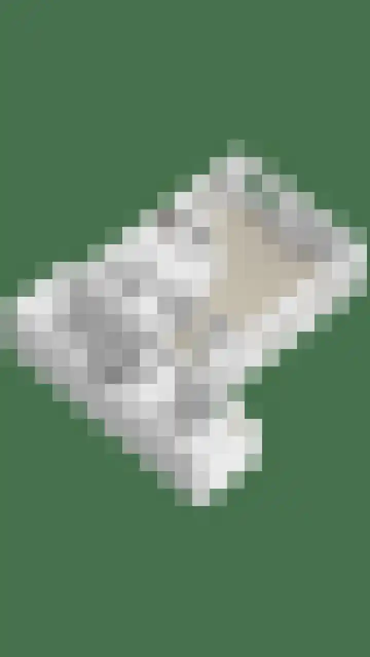 Rietganssingel 4 Velp thumbnail 53