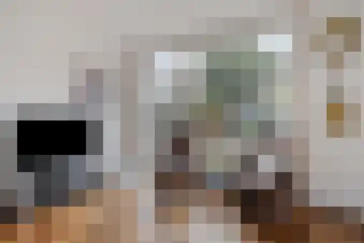 Rietganssingel 4 Velp thumbnail 8