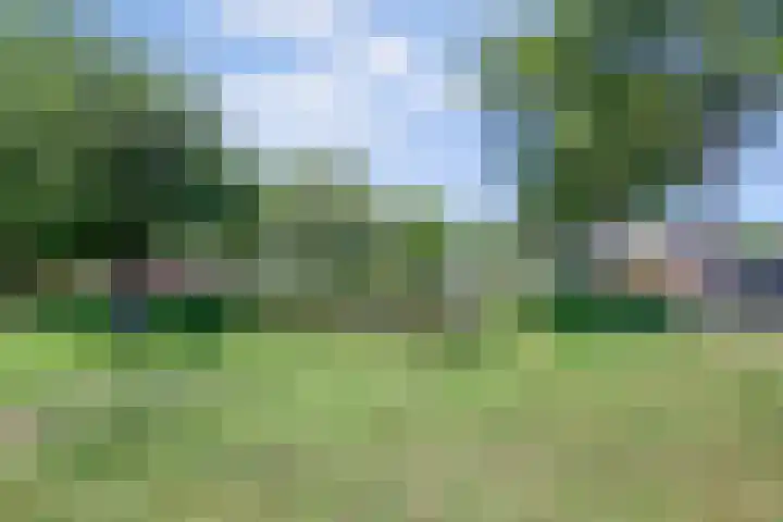 Rietgansstraat 29 Strijen thumbnail 11