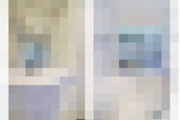 Rietgansstraat 29 Strijen thumbnail 25